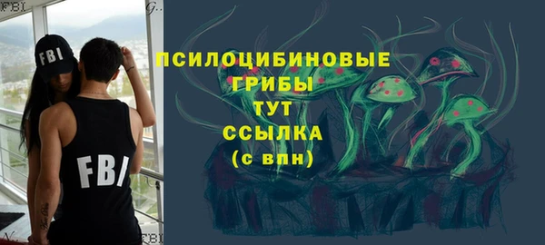 не бодяженный Богданович