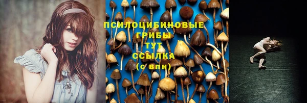 не бодяженный Богданович