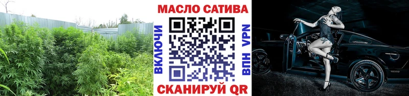 МЕГА рабочий сайт  Грозный  ТГК Wax 