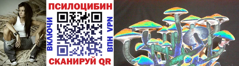 Псилоцибиновые грибы Cubensis Грозный